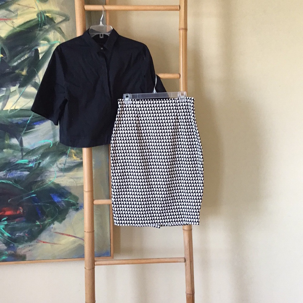 Banana Republic Skirt